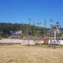 남포항 다목적광장 이미지