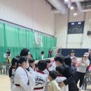 로운태권도 이미지