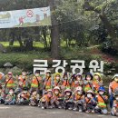 🌳올데이 숲 해설가 숲 체험활동-금강공원🌳 이미지