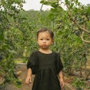 희보농장 | 함안 피카그린 블루베리체험 17개월 아기 후기