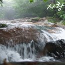 주식회사 하늘사랑