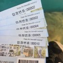 울릉도 이사부 호텔 | [울릉 크루즈 여행]뉴씨다오펄호로 떠나는 울릉도 여행 후기