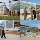 부대농장 이미지