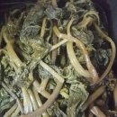 아취 Daum카페