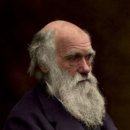 ＜ 다윈(Darwin)의 진화론(進化論)과 연기법(緣起法) ＞ 이미지