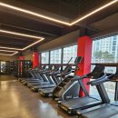 일프로짐 지제역점 | 일프로짐 지제역점 헬스장 평택 동삭동피티 헬스가격 운영시간