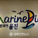 울진비닐 이미지