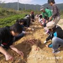 금산힐링푸드 영농조합법인 이미지