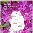 개화 이미지