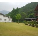 산새소리물새소리 이미지