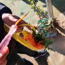 재리쥬 작은동물원 이미지