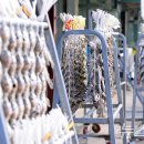 영광 법성포 굴비거리 이미지