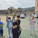 봉림초1-1 내나무정하기 이미지