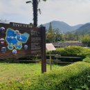 사림동248 이미지