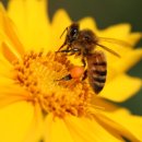 열린가정의학과 이미지