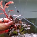 신용 아쿠아 수족관 이미지