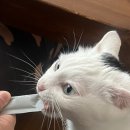 레벨업PC방 부천시청점 이미지