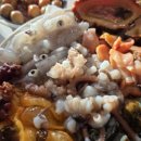 삼천포해물 이미지