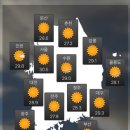 카피아 이미지