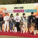 멍스테이 네이버블로그