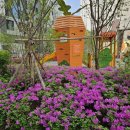 레이카운티 1단지 이미지