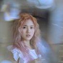 네이처(Nature) 이미지