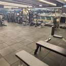 팀타이거짐 이미지