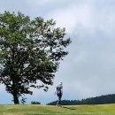 맑은하늘 | 일본 스가다이라 그린GC_ In코스 라운딩 후기 - 맑은 하늘 아래 완벽한 골프 라운드