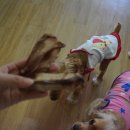 랑이네식탁 | (애견수제간식)랑이네식탁 이용후기