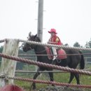 오케이승마장 이미지