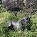 일구목장 이미지