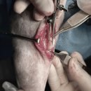 태평역 동물병원 | 슬개골 탈구 치료🦴(설명, 후기)_뒷 다리를 절어요!