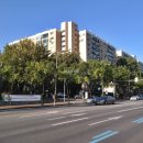 압구정-113 이미지