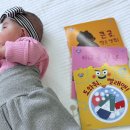 브레인속수학교습소 | 그레이트북스 소전집 브레인톡톡수학 베스트이솝우화