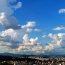 푸른하늘 이미지