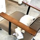 다옴헤어살롱 이미지