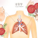 서울경희한의원 이미지