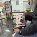 JM메디칼 네이버블로그