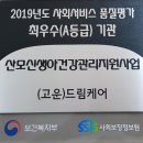 드림케어
