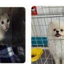 다남로165번길 이미지