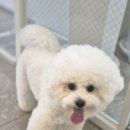 보담동물병원 이미지