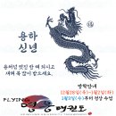 계명대드림태권도 이미지