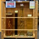 삼산능이백숙 | 울산 태화강역 몸보신 맛집 삼산능이백숙 뜨끈한 삼계탕