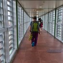 제주보홀 | 인천 보홀 항공권 후기 제주항공 수하물 공항세