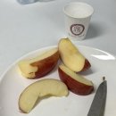 밍카센타 이미지