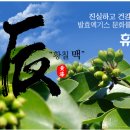 농업회사법인휴림황칠 (주) 이미지