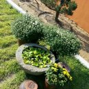 한옥전원 이미지