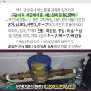 부산동삼동우체국 이미지