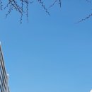 LG럭키공인중개사사무소 이미지