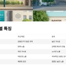 위티데이지 네이버블로그